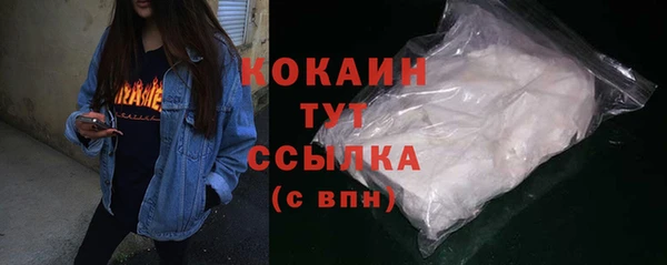 PSILOCYBIN Кулебаки