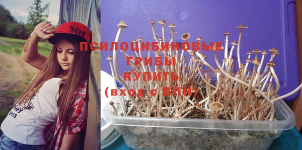 MDMA Premium VHQ Красноперекопск