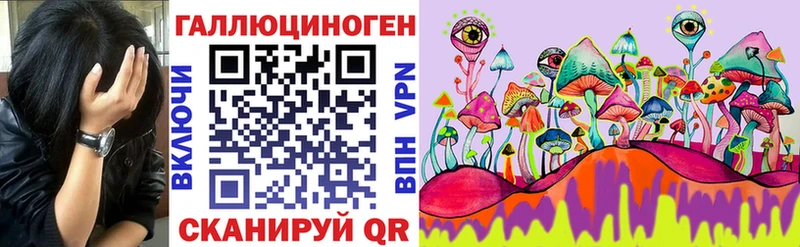 darknet телеграм Среднеколымск Галлюциногенные грибы прущие грибы дарнет шоп